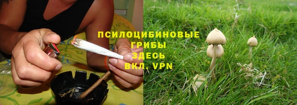 кокс Аркадак