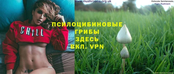 кокс Аркадак